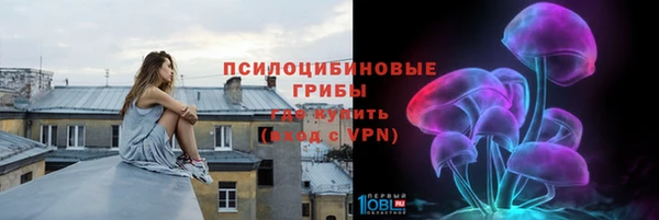 ГАЛЛЮЦИНОГЕННЫЕ ГРИБЫ Верхний Тагил