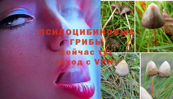 ALPHA-PVP Верхнеуральск