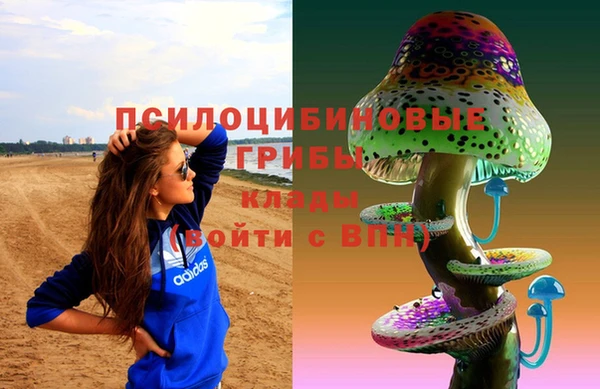 гашиш Бородино